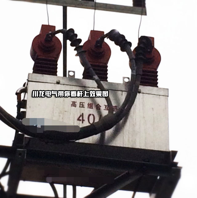 <b>YFJLSZ-10高壓預付費計量開關ZW32J</b>