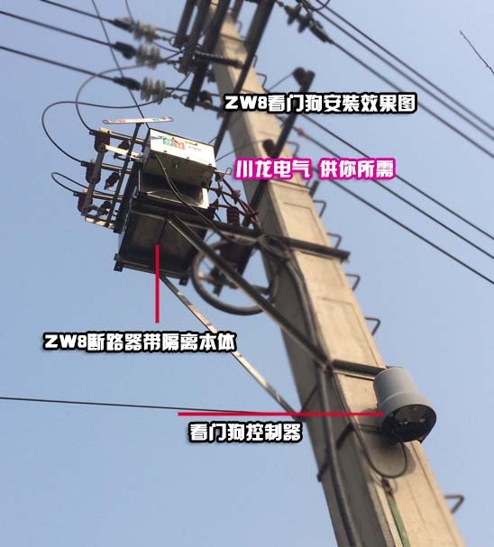 ZW8-12F看門狗分界斷路器