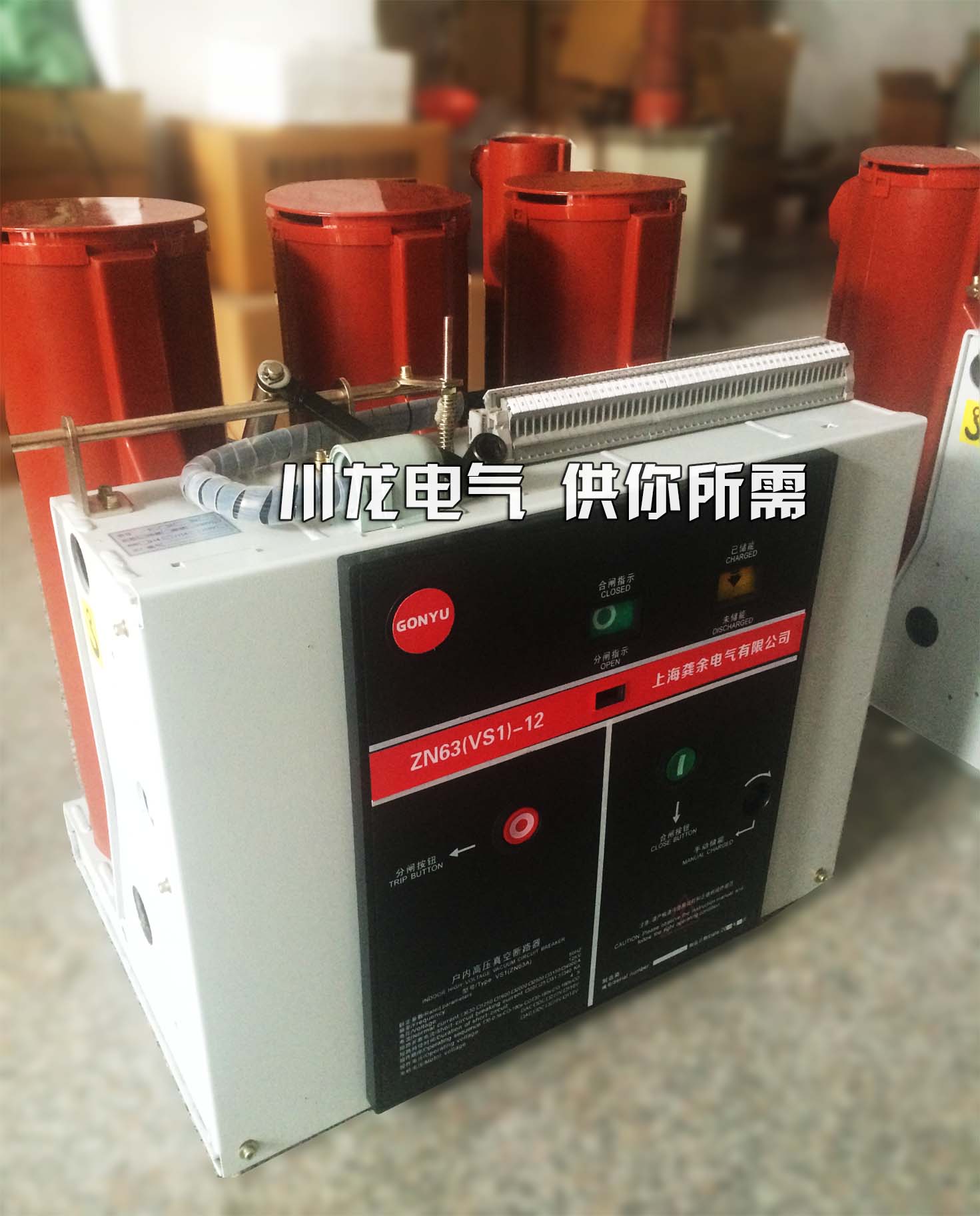 ZN63A-12真空斷路器VS1